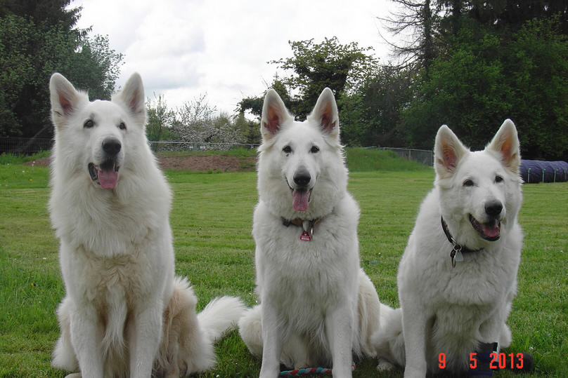 Carwyn,Coralie,Keona